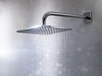 זרועות וראשי מקלחת