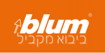 בלום ביבוא מקביל